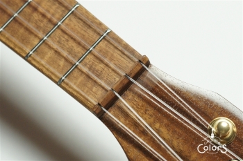 S-GLN/V -Long Neck- Gold